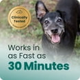 thumbnail image 2 of VetriScience Senior Calm & Confident Chews for Dogs, Chicken, 60 Count, 2 of 11
