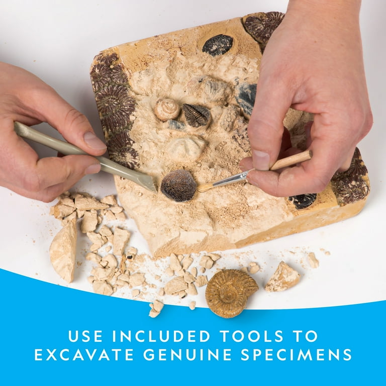 National Geographic Super Fossil Dig Kit - Walmart.com