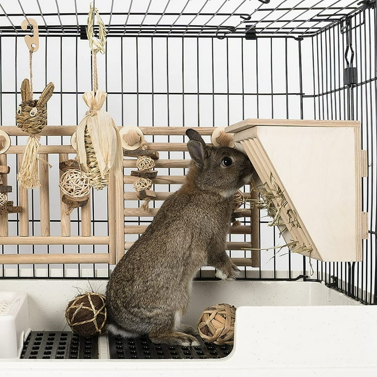 Timed top rabbit feeder