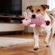thumbnail image 5 of Juguete masticable duradero para perros que muerden con fuerza; mopa interactiva que chirría; limpieza dental, 5 of 5