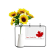 thumbnail image 1 of Feliz dia de Canada grano vertical la hoja de arce Tarjeta de bendición de jarrón de girasol artificial, 1 of 3