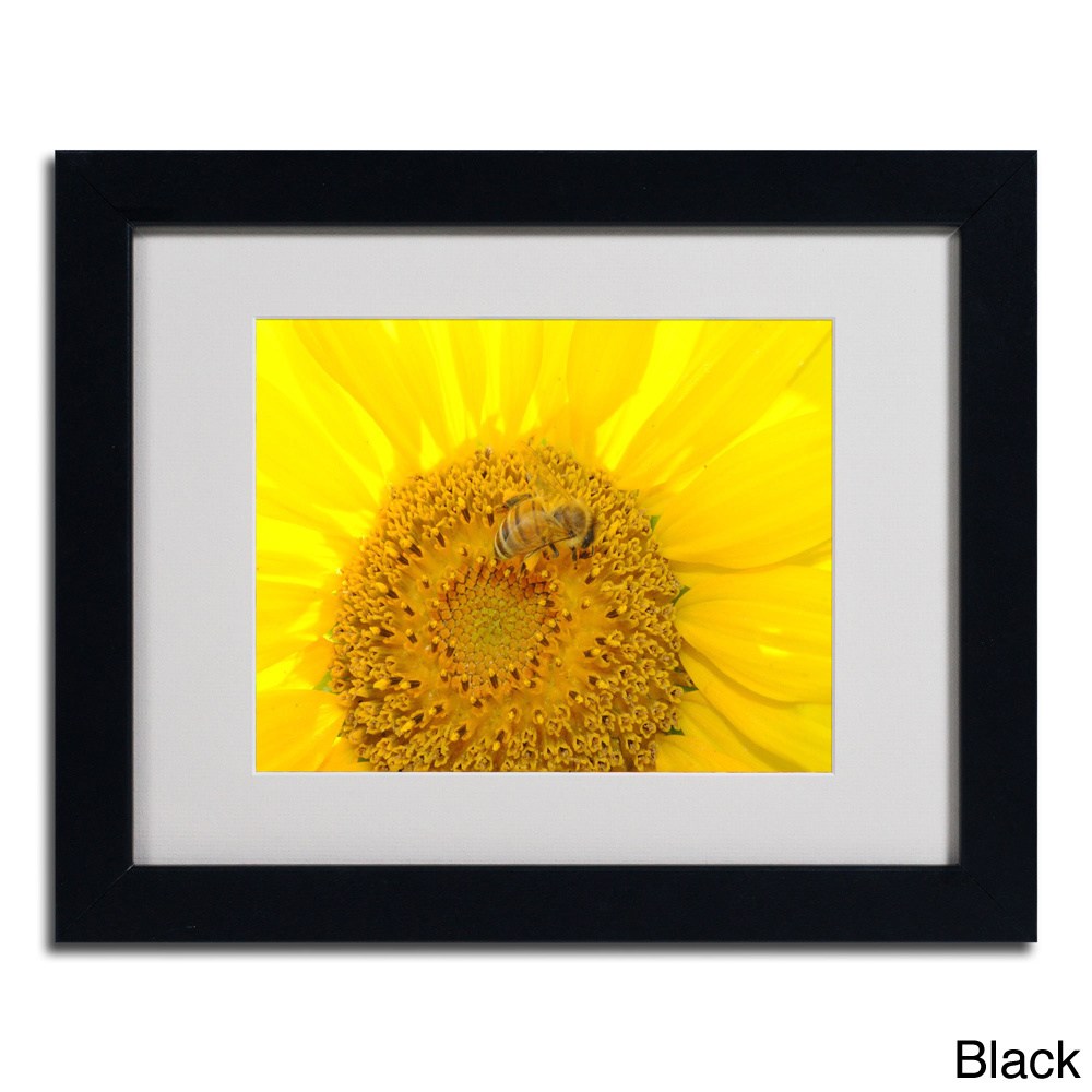 Trademark Fine Art "Honey-Maker" by Monica Fleet, Wood Frame
