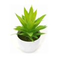 thumbnail image 5 of Planta artificial flor artificial en maceta simulación de plantas suculentas simulación de plantas verdes flores bonsái adornos decoración de ventanas decoración del hogar simulación de plantas en macetas (1 mil orejas de conejo (verde) + 2 mil orejas de conejo (verde)) Sailing Electrónica, 5 of 5
