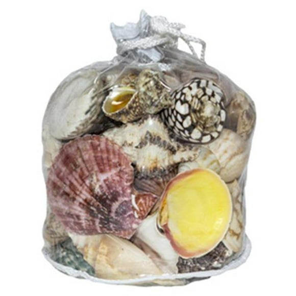 U.S. Shell 08462 Designer Shell Gift Bag