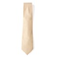 thumbnail image 2 of Spring Notion Men's Leather Texture Woven Necktie, 2 of 3