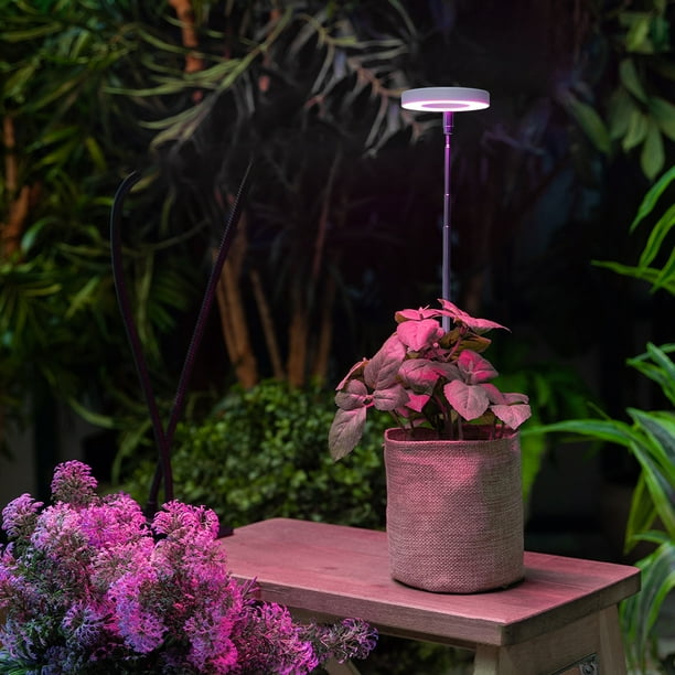 BeesClover 2 Packs Grow Lights For Indoor Plants With 9 Dimmable