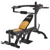 Body Flex Power Drive Leverage System