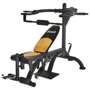 Body Flex Power Drive Leverage System