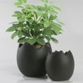 thumbnail image 5 of BNNG Breathable Meaty Flowerpot Ceramic Potted Rough Pottery Simple Personality Eggshell Meat Plant Old Pile Flowerpot Tall Vase, 5 of 7