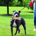 thumbnail image 3 of Dog Teething Bone Beef Flavor Puppy Chew Bone Safe Molar Teeth Clean Stick Treats Dogs Bones For Medium Dogs L, 3 of 5
