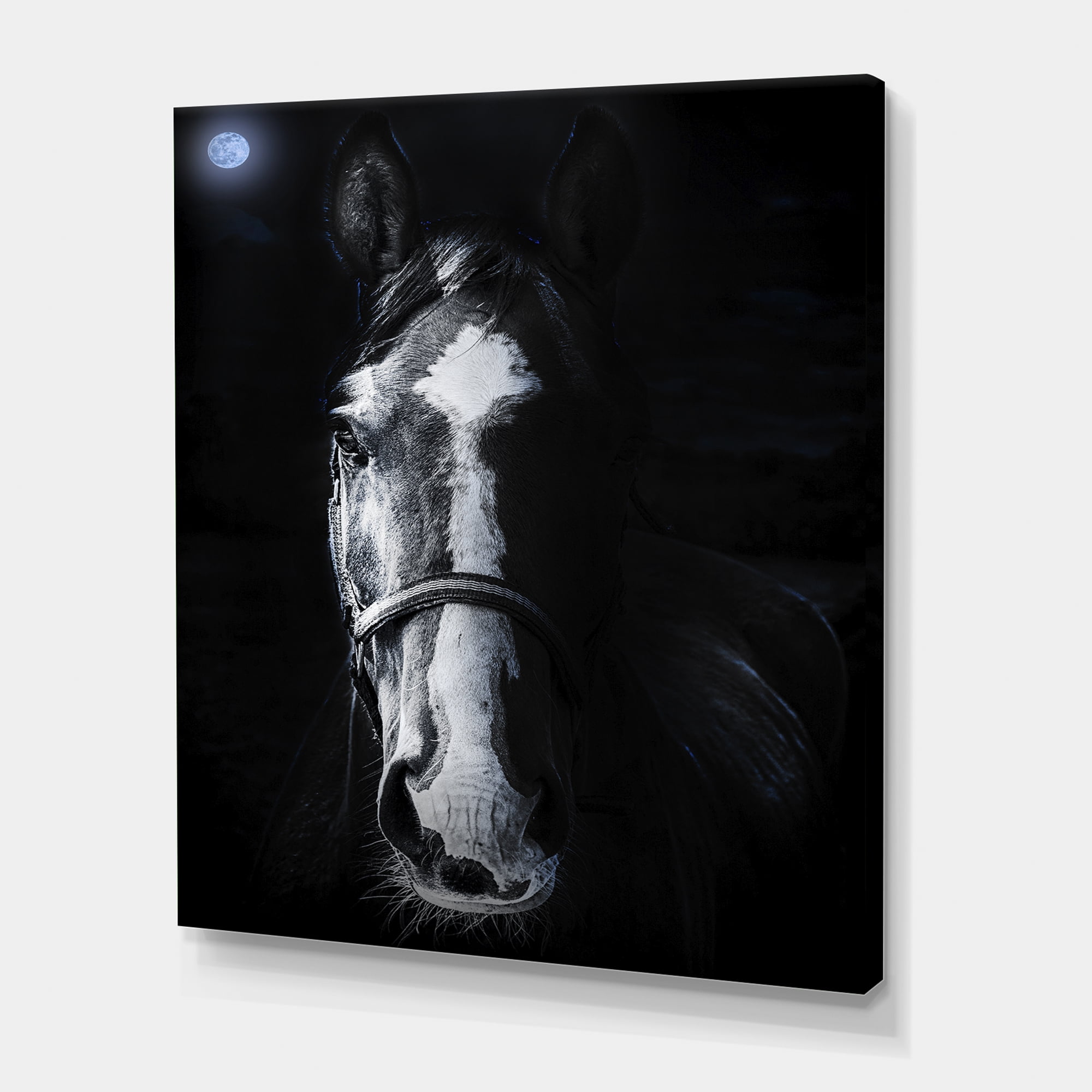 Designart ' Portrait of Horse Staring Sinister ' Farmhouse Canvas Wall Art Print