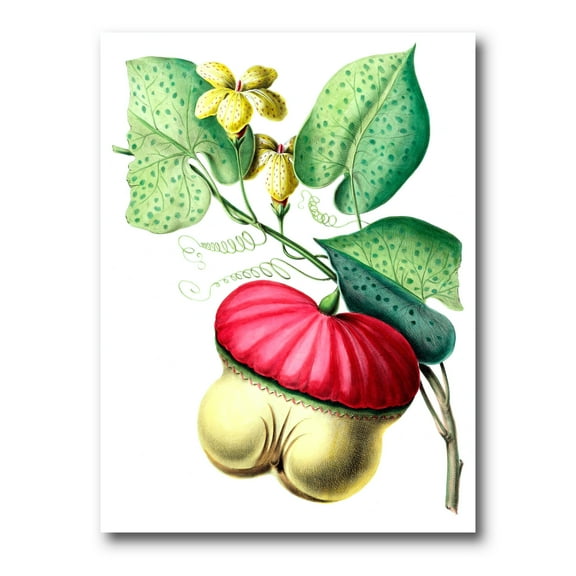 Designart ' American Vintage Flowers I ' Traditional Canvas Wall Art Print