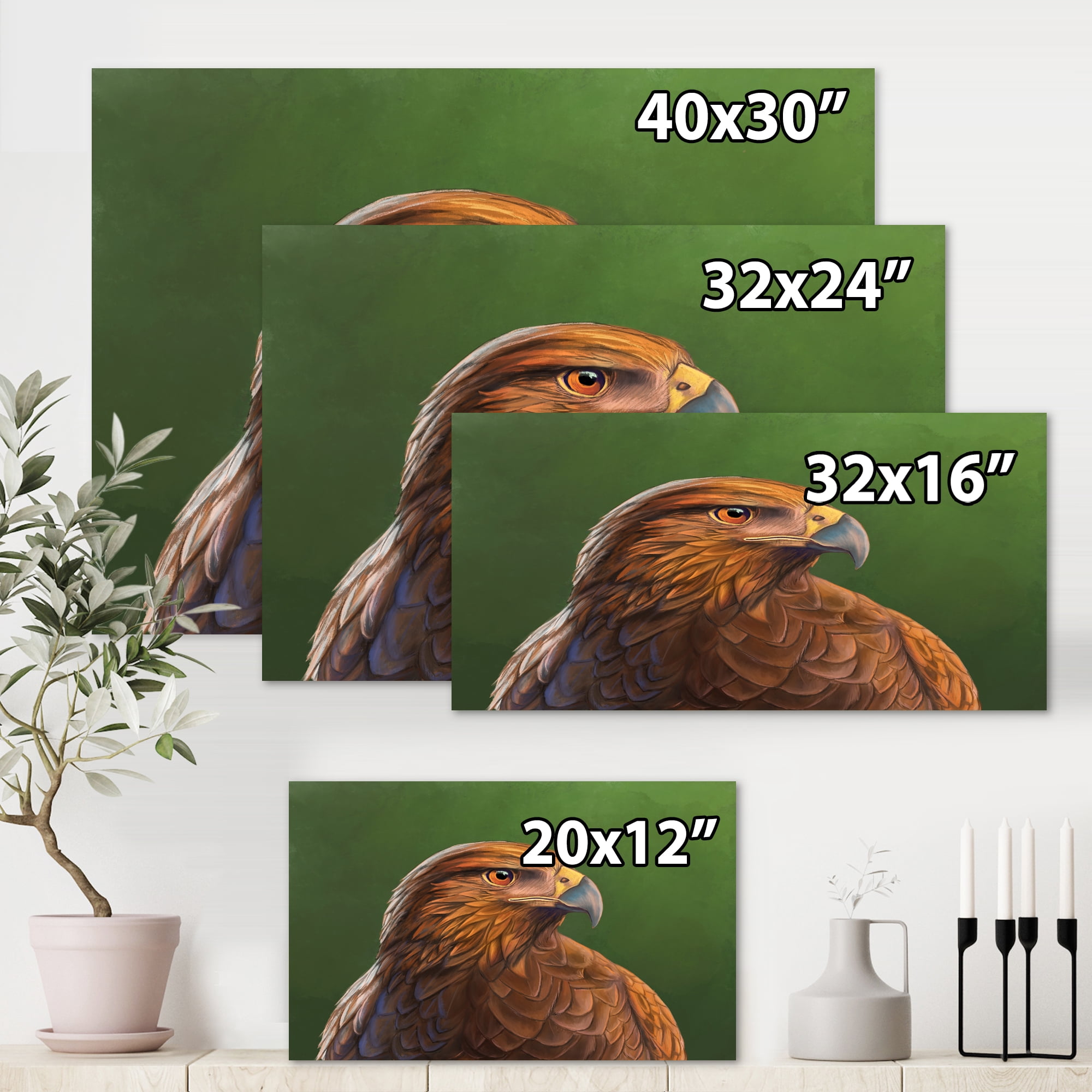 Designart ' Close UP Of Harris Hawk Bird ' Traditional Canvas Wall Art Print