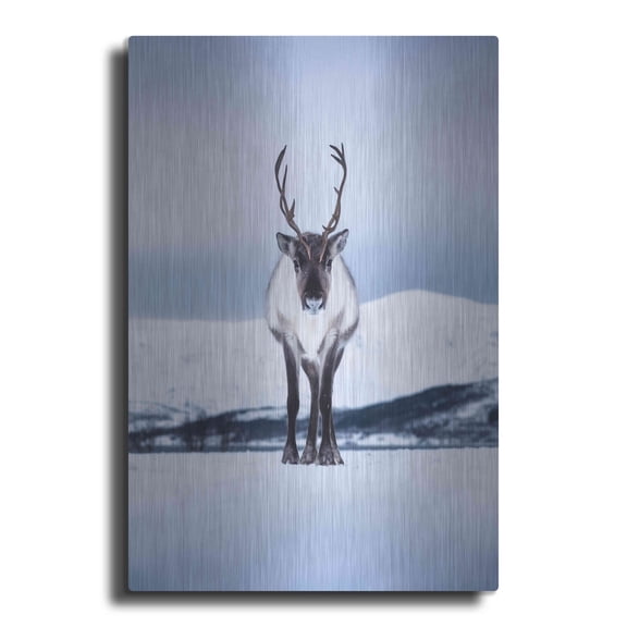 Luxe Metal Art 'Norwegian Raindeer' by Epic Portfolio Metal Wall Art, 12"x16"