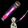 thumbnail image 1 of LaRoo Light Up Dog Collar With Nylon Stickers, Universal Glowing Accessories for Leash Harness, Silicone Waterproof LED Flashing Night Outdoor Safety, 1 of 5
