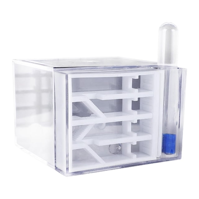 Granja de hormigas, hábitat, suministros de bricolaje, estudio, ciencia, casa educativa, nido de hormigas para observación científica, regalo para el