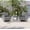 Gray, variant on ACEGOSES 3-Piece Patio Sofa Set Rattan Swivel Rocking Chair Set Side Table Suiting Backyard, Poolside and Patio,Navy Blue