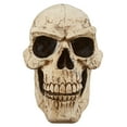 thumbnail image 4 of Design Toscano Sinister Simon Giant Skull Sculpture, 4 of 4