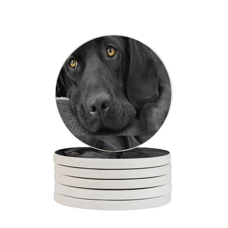

Circular Drink Coasters Set Doggaming Black Lab Labrador Dog Puppy Beautiful Home Decor Diatomite Heat-Resistant Diatomite Protect Table Countertop