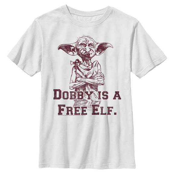 Boys Harry Potter Dobby is a Free Elf T Shirt