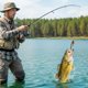thumbnail image 4 of 5.8G Shrimp Lures Baits Squid Jig 8cm Fluorescent Squid Jig Cuttlefish Hook Glow Jig Hook Saltwater Fishing Tackle 9, 4 of 4