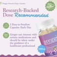 thumbnail image 4 of Three Lollies Preggie Naturals Ginger Capsules - Nausea Relief Supplement - Morning Sickness Prevention & Nausea Relief During Pregnancy - Immune Support - Made in USA - 1000mg Ginger Root - 30 Caps, 4 of 6