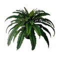 thumbnail image 3 of Baywell UV Resistant Lifelike Artificial Fern, Artificial Flower for Outdoors and Porch Window Home Decor, 3 of 9