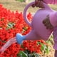 thumbnail image 3 of Regadera de plástico, pequeñas y ligeras, lindas plantas de jardín para interiores y exteriores, regadera de juguete para niños, con cabezal de ducha, elefante, 3 of 5
