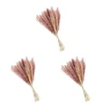 thumbnail image 2 of Yuarrent 15 piezas de hierba de pampa seca, plantas simples, ramo de plantas, adorno para interior, romántico, DIY, caña seca, accesorio para Type1 NO1, 2 of 6