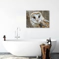 thumbnail image 5 of ONETECH Canvas Wall Art - Common Barn Owl - Modern Home Art Ready to Hang 20x16inch, 5 of 6