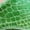 Green, variant on Men's Gradient Green Croc Embossed Oxford Shoes Low Block Heel Lace Up Fashion Stage Casual Formal Leather Dress Shoes