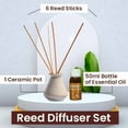 thumbnail image 3 of Reed Diffuser – Sandalwood Scent – 50ml Oil, 6 Reed Sticks, Ceramic Pot, 3 of 9