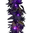 thumbnail image 3 of National Tree Company,6ft Artificial Scare in the Air Halloween Garland, 30 Purple LED Lights, Battery Operated, 3 of 3