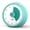 Green, variant on 60-Minute Visual Timer, Ideal for Homeschooling, Time Management Tool with Silent Functionality, Suitable for Kitchen, Office, And Classroom Use