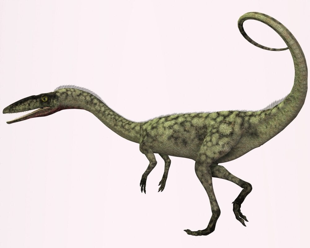 tiny carnivorous dinosaur