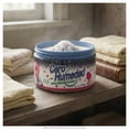thumbnail image 4 of Deshumificador Ambiental Cero Humedad con Aroma a Primavera 430 g, 4 of 5