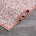 thumbnail image 5 of World Rug Gallery Transitional Floral Circles Textured Flat Weave Indoor/Outdoor Area Rug - TERRA 2'x7', 5 of 8