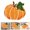 A, variant on Carpet,Fall Bathroom Rugs Pumpkin Mat Orange Pumpkin Bathroom Rug Non Washable Absorbent Mats Shower Rug Fall Decorations For Home