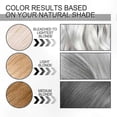thumbnail image 5 of Silver Gray Hair Dye Cream, Natural Unisex Color for All Hair Types, Long-Lasting Formula, Easy to Apply, Non-Damaging Solution, 5 of 5