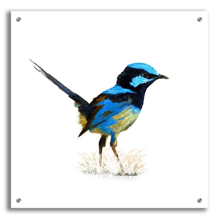 Epic Art Bird Collection 21 by Ata Alishahi Acrylic Glass Wall Art 24 x24