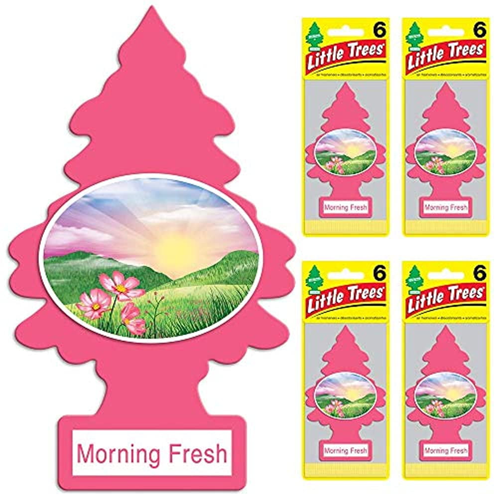 Little Trees® Car Air Fresheners Morning Fresh Scent (24 Pack)