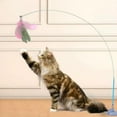 thumbnail image 6 of Feather Teaser Cat Toy Retractable Feather Cat Teaser with Suction Cup Interactive Teaser for Kitten Cats - Blue, 6 of 8