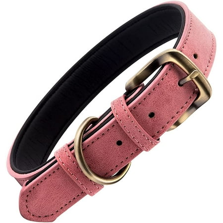 Classic Leather Dog Collar for Small Medium Large Dogs Padded Soft and