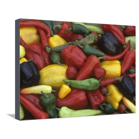 A Variety of Heirloom Sweet Peppers Stretched Canvas Print Wall Art By David