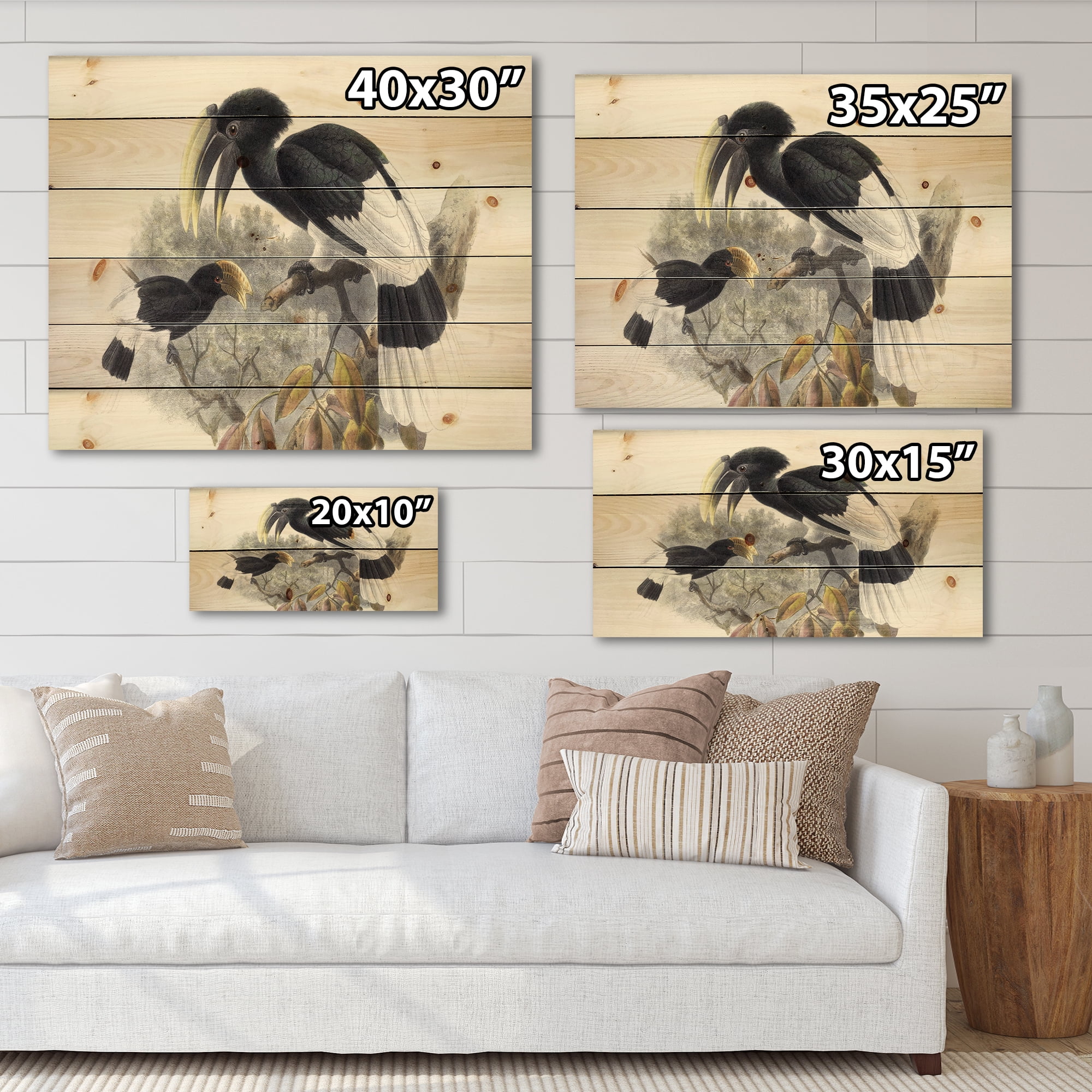 Designart 'Ancient Bird Illustration I' Traditional Print on Natural Pine Wood