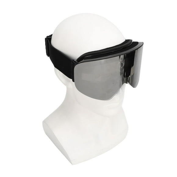 Snowboard Goggles, Ski Glasses Windproof Unisex Magnetic with Storage Bag for Outdoor