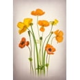 thumbnail image 2 of Jacobs, Lydia 13x18 Gold Ornate Wood Framed with Double Matting Museum Art Print Titled - Delightful Poppies, 2 of 4