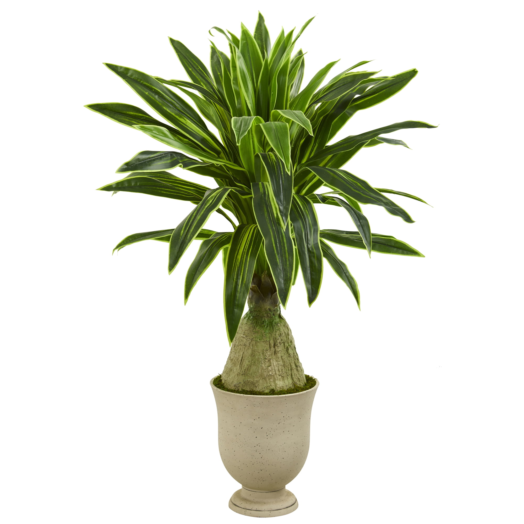 59in. Dracaena Artificial Plant in Decorative Urn