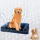 thumbnail image 1 of Espuma disponible para todas las estaciones. Caseta para perros. Caseta cuadrada para mascotas. Cama transpirable para mascotas. Fresca en verano. Protección invernal. Sofá cálido., 1 of 7