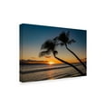 thumbnail image 2 of Trademark Fine Art 'Silhouette of the Tropics' Canvas Art by Pierre Leclerc, 2 of 3
